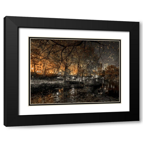 Evening view of Central Park in New York City Black Modern Wood Framed Art Print with Double Matting by Frank, Assaf