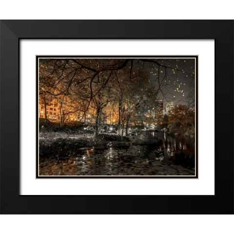 Evening view of Central Park in New York City Black Modern Wood Framed Art Print with Double Matting by Frank, Assaf