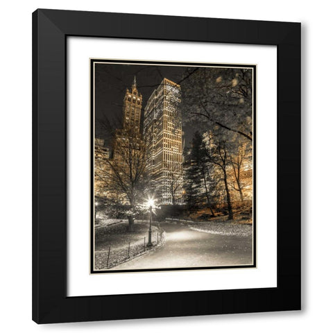 Evening view of Central Park in New York City Black Modern Wood Framed Art Print with Double Matting by Frank, Assaf