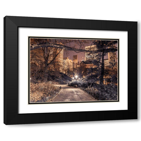 Evening view of Central Park in New York City Black Modern Wood Framed Art Print with Double Matting by Frank, Assaf