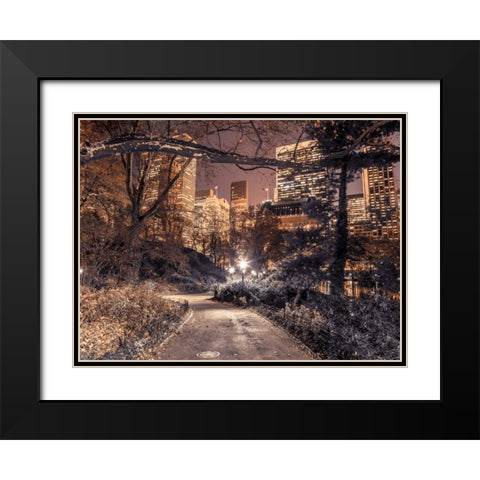 Evening view of Central Park in New York City Black Modern Wood Framed Art Print with Double Matting by Frank, Assaf