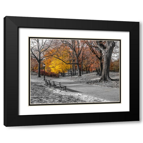 Pathway through Central Park, New York Black Modern Wood Framed Art Print with Double Matting by Frank, Assaf