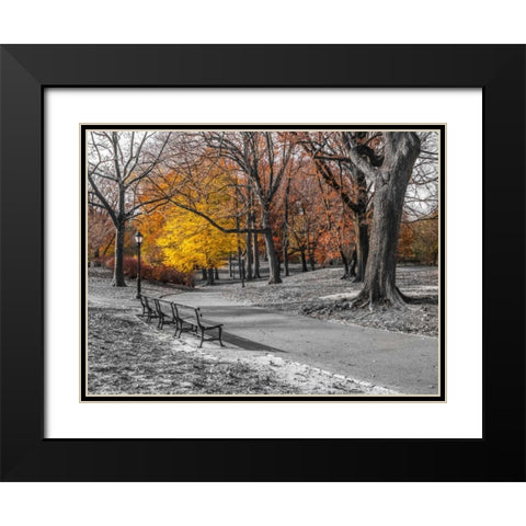 Pathway through Central Park, New York Black Modern Wood Framed Art Print with Double Matting by Frank, Assaf
