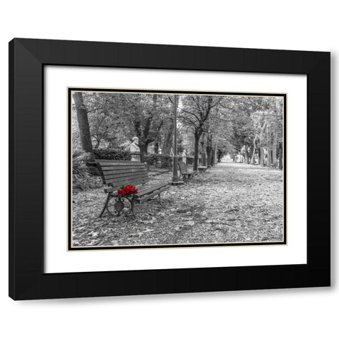 Bunch of roses on a park bench in Rome, Italy Black Modern Wood Framed Art Print with Double Matting by Frank, Assaf