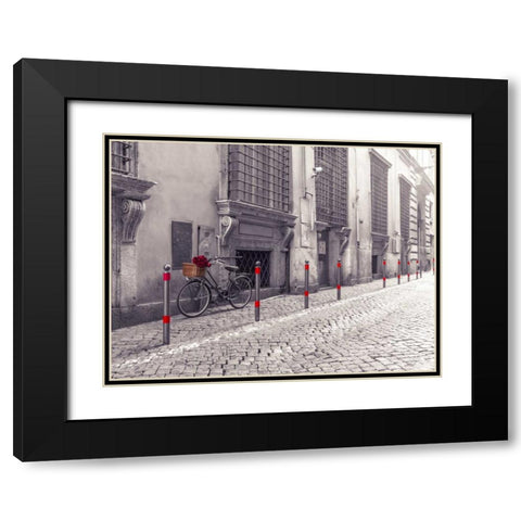 Bunch of roses on bicycle on old city street of Rome Black Modern Wood Framed Art Print with Double Matting by Frank, Assaf