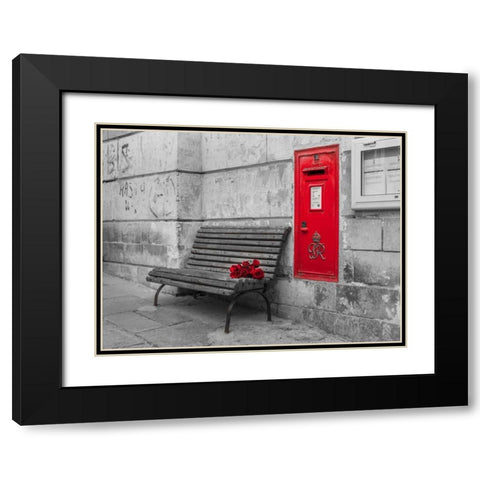 Bunch of roses on a bench, Birgu, Malta Black Modern Wood Framed Art Print with Double Matting by Frank, Assaf