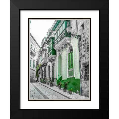 Traditional maltese houses in Birgu, Malta Black Modern Wood Framed Art Print with Double Matting by Frank, Assaf