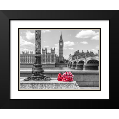 Bunch of Roses by a lampost, London, UK Black Modern Wood Framed Art Print with Double Matting by Frank, Assaf