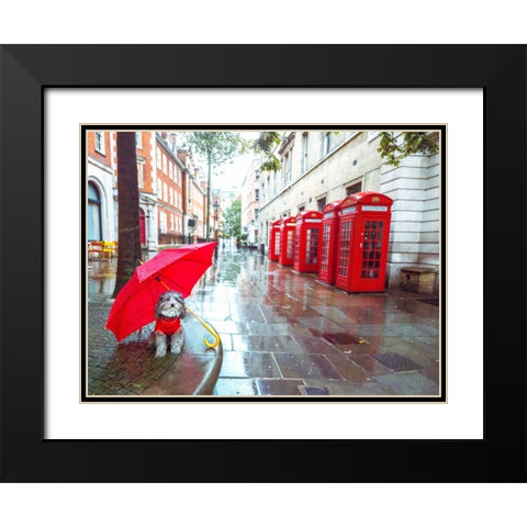 Dog with umbrella on London city street Black Modern Wood Framed Art Print with Double Matting by Frank, Assaf