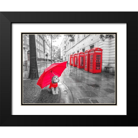 Dog with umbrella in London Black Modern Wood Framed Art Print with Double Matting by Frank, Assaf