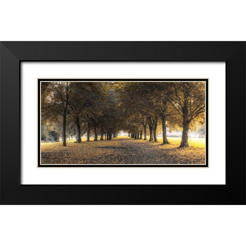 Pathway through trees in forest Black Modern Wood Framed Art Print with Double Matting by Frank, Assaf