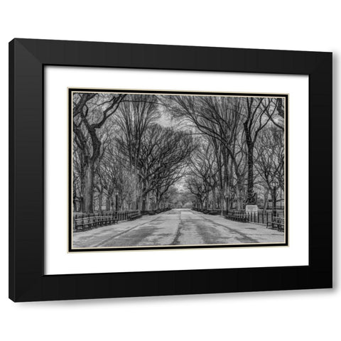 Pathway through Central park, New York Black Modern Wood Framed Art Print with Double Matting by Frank, Assaf