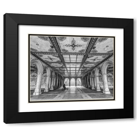 Bethesda Terrace in Central park, New York Black Modern Wood Framed Art Print with Double Matting by Frank, Assaf
