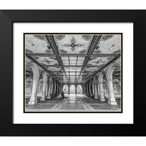 Bethesda Terrace in Central park, New York Black Modern Wood Framed Art Print with Double Matting by Frank, Assaf