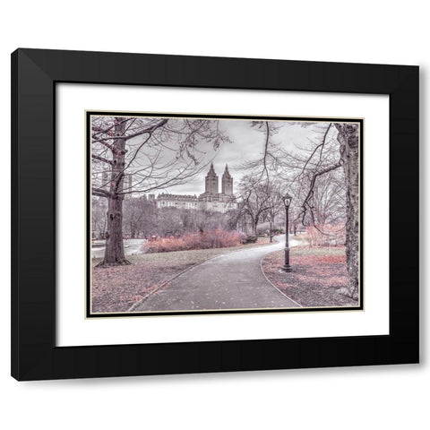 Pathway through Central park-New York Black Modern Wood Framed Art Print with Double Matting by Frank, Assaf