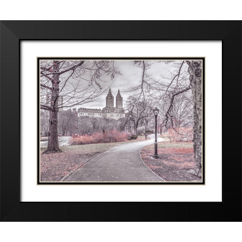 Pathway through Central park-New York Black Modern Wood Framed Art Print with Double Matting by Frank, Assaf