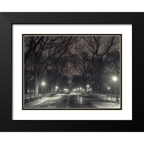 Central park with Manhattan skyline, New York Black Modern Wood Framed Art Print with Double Matting by Frank, Assaf