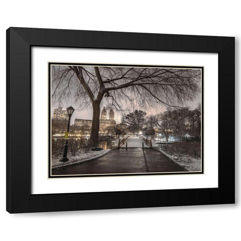 Evening view of Central park-New York Black Modern Wood Framed Art Print with Double Matting by Frank, Assaf