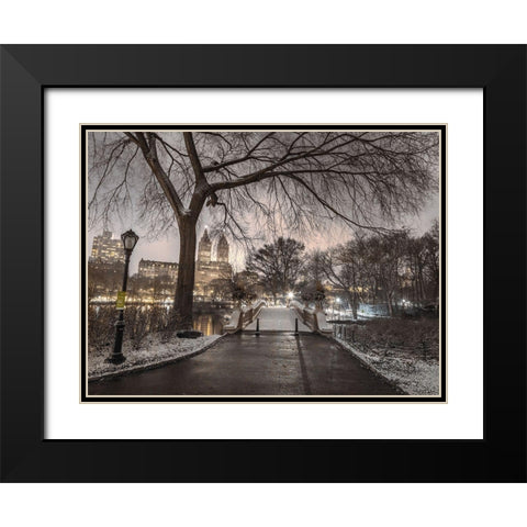 Evening view of Central park-New York Black Modern Wood Framed Art Print with Double Matting by Frank, Assaf