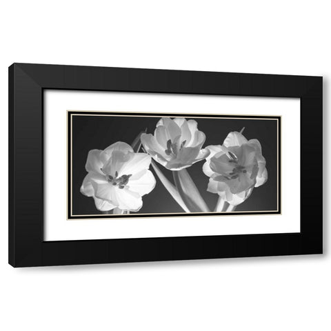 Tulips, black and white Black Modern Wood Framed Art Print with Double Matting by Frank, Assaf