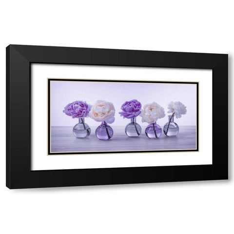 Peonies in glass bottles Black Modern Wood Framed Art Print with Double Matting by Frank, Assaf