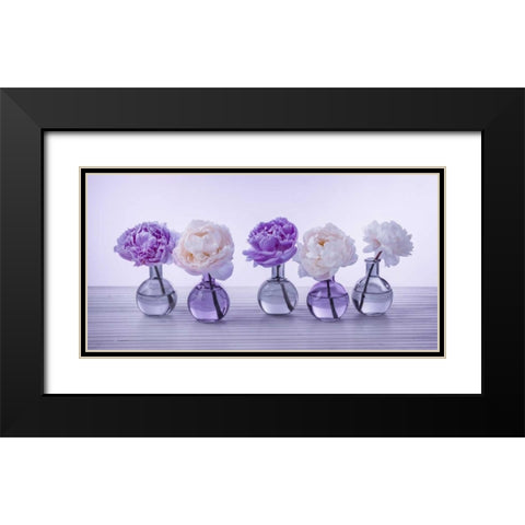 Peonies in glass bottles Black Modern Wood Framed Art Print with Double Matting by Frank, Assaf