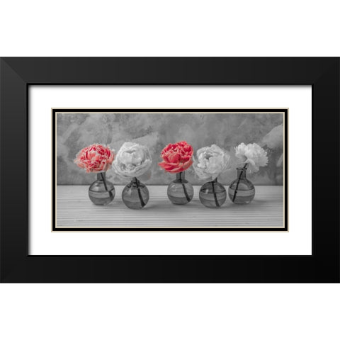 Peonies in glass bottles Black Modern Wood Framed Art Print with Double Matting by Frank, Assaf