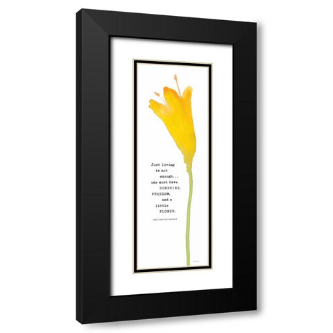 Buttercup Black Modern Wood Framed Art Print with Double Matting by Marrott, Stephanie
