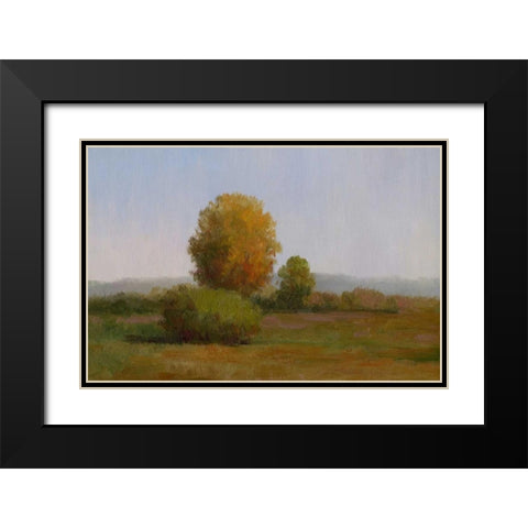 Tree in the Sun II Black Modern Wood Framed Art Print with Double Matting by Chin, Art