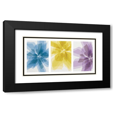 Three Xray Flowers Black Modern Wood Framed Art Print with Double Matting by Brando, JJ