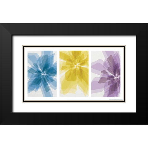 Three Xray Flowers Black Modern Wood Framed Art Print with Double Matting by Brando, JJ