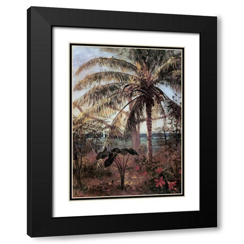 Palm Tree, Nassau Black Modern Wood Framed Art Print with Double Matting by Bierstadt, Albert