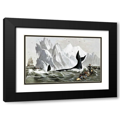 Capturing The Whale Black Modern Wood Framed Art Print with Double Matting by Currier and Ives