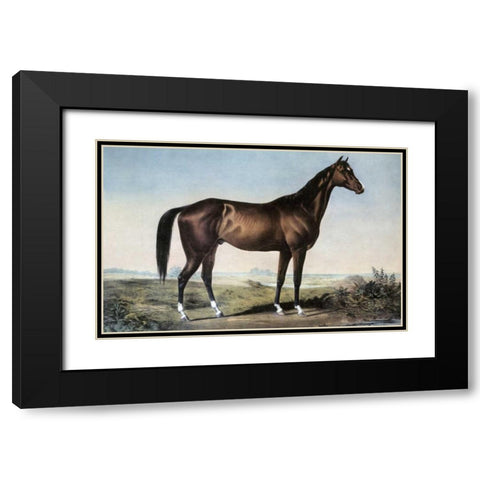 Celebrated Horse Lexington Black Modern Wood Framed Art Print with Double Matting by Currier and Ives
