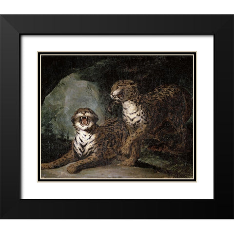 Two Leopards Black Modern Wood Framed Art Print with Double Matting by Gericault, Theodore