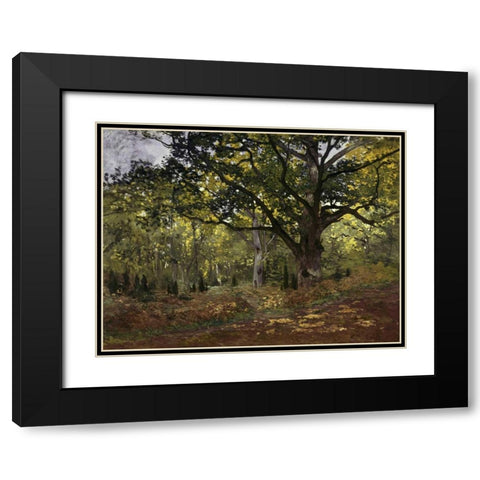 Bodmer Oak, Fontainebleau Forest, 1865 Black Modern Wood Framed Art Print with Double Matting by Monet, Claude