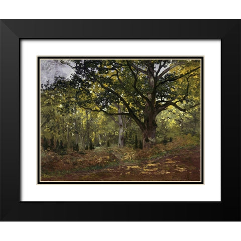 Bodmer Oak, Fontainebleau Forest, 1865 Black Modern Wood Framed Art Print with Double Matting by Monet, Claude
