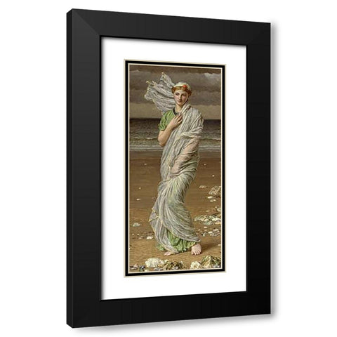 Sea Shells Black Modern Wood Framed Art Print with Double Matting by Moore, Albert Joseph
