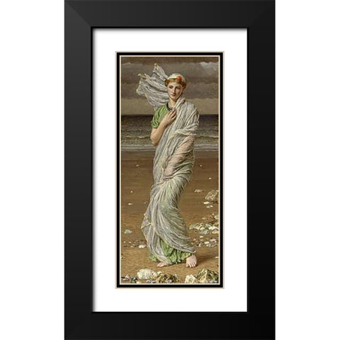 Sea Shells Black Modern Wood Framed Art Print with Double Matting by Moore, Albert Joseph