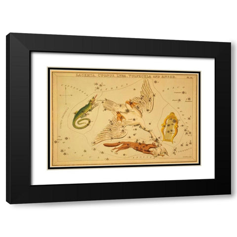 Lacerta, Cygnus, Lyra, Vulpecula and Anser, 1825 Black Modern Wood Framed Art Print with Double Matting by Aspin, Jehoshaphat