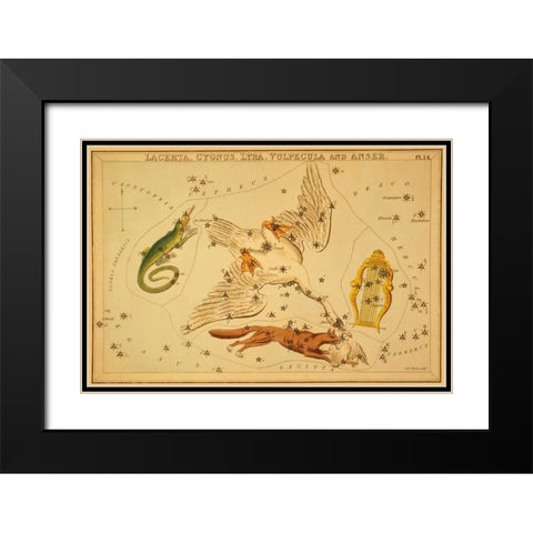 Lacerta, Cygnus, Lyra, Vulpecula and Anser, 1825 Black Modern Wood Framed Art Print with Double Matting by Aspin, Jehoshaphat