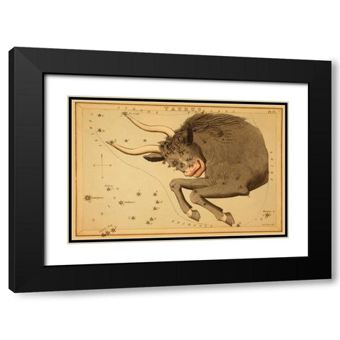 Taurus the Bull, 1825 Black Modern Wood Framed Art Print with Double Matting by Aspin, Jehoshaphat