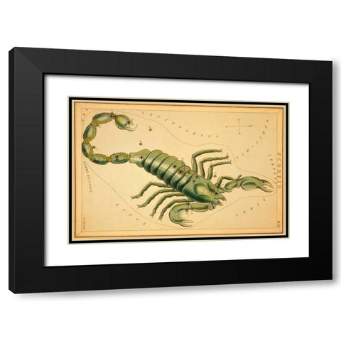 Scorpio, 1825 Black Modern Wood Framed Art Print with Double Matting by Aspin, Jehoshaphat