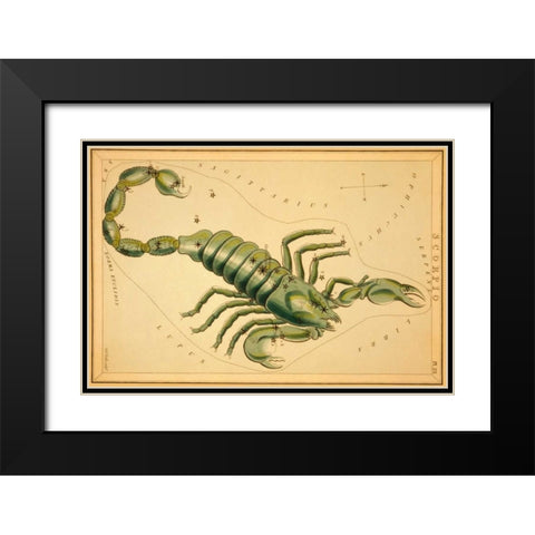 Scorpio, 1825 Black Modern Wood Framed Art Print with Double Matting by Aspin, Jehoshaphat