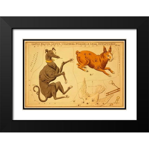 Canis Major, Lepus, Columba Noachi and Cela Sculptoris, 1825 Black Modern Wood Framed Art Print with Double Matting by Aspin, Jehoshaphat