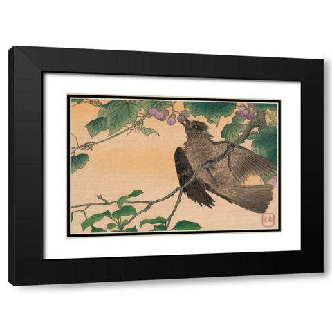 Bird Eating a Grape Black Modern Wood Framed Art Print with Double Matting by Kesai, Kuwagata