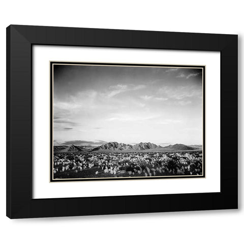 Distant mountains: desert and shrubs in foreground near Death Valley National Monument, California - Black Modern Wood Framed Art Print with Double Matting by Adams, Ansel