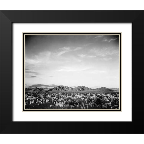 Distant mountains: desert and shrubs in foreground near Death Valley National Monument, California - Black Modern Wood Framed Art Print with Double Matting by Adams, Ansel