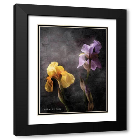 Contemporize Floral Iris Black Modern Wood Framed Art Print with Double Matting by Bluebird Barn