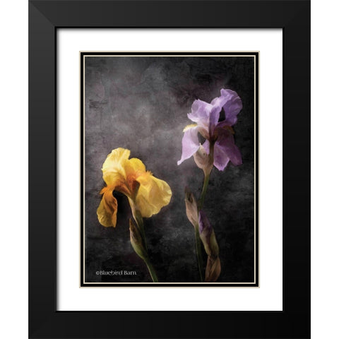 Contemporize Floral Iris Black Modern Wood Framed Art Print with Double Matting by Bluebird Barn